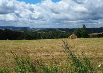 działka na sprzedaż - Wielopole Skrzyńskie
