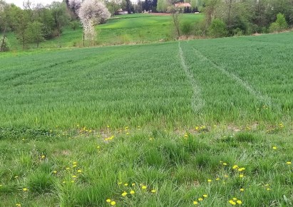 działka na sprzedaż - Chmielnik, Błędowa Tyczyńska