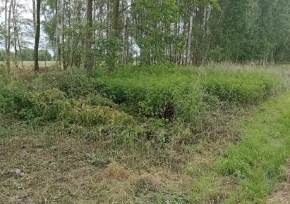 działka na sprzedaż - Sokołów Małopolski, Trzebuska, Kąty